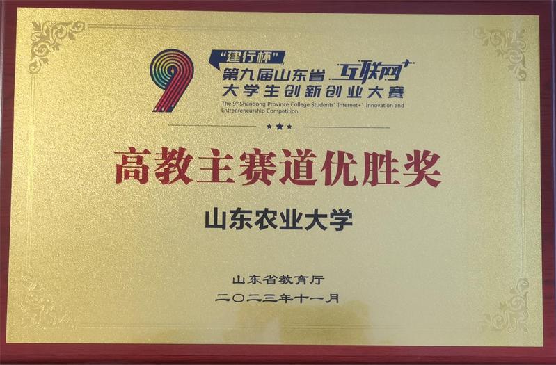 “建行杯”第九届山东省“互联网...